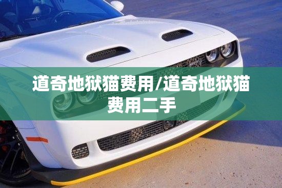 道奇地狱猫费用/道奇地狱猫费用二手 道奇地狱猫费用/道奇地狱猫费用二手