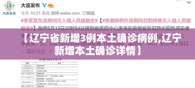 【辽宁省新增3例本土确诊病例,辽宁新增本土确诊详情】