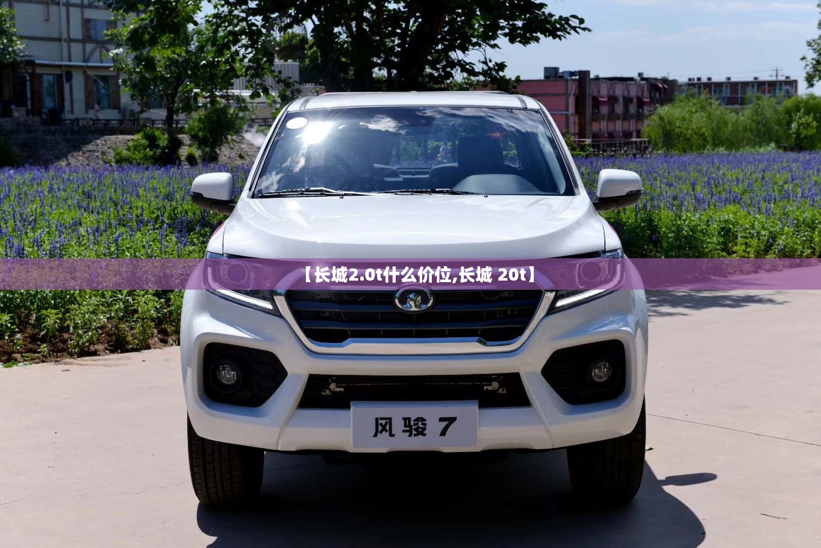 【长城2.0t什么价位,长城 20t】