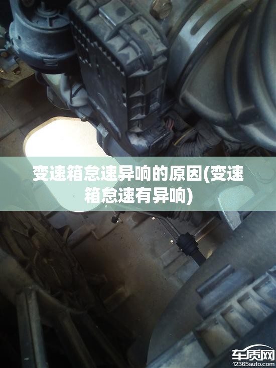 变速箱怠速异响的原因(变速箱怠速有异响)