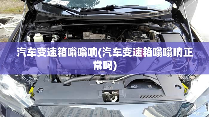 汽车变速箱嗡嗡响(汽车变速箱嗡嗡响正常吗)