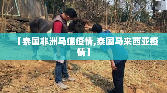 【泰国非洲马瘟疫情,泰国马来西亚疫情】