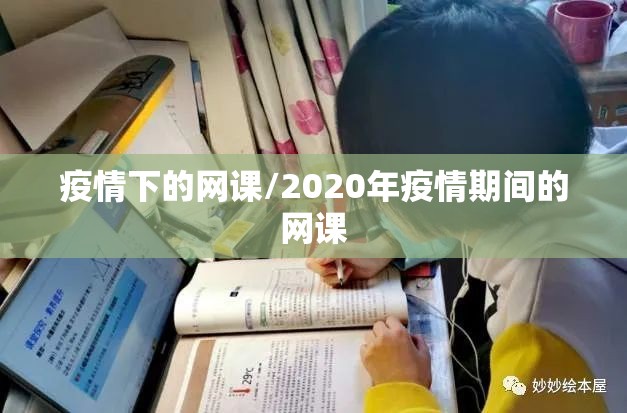 疫情下的网课/2020年疫情期间的网课 疫情下的网课/2020年疫情期间的网课