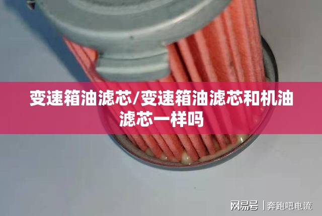 变速箱油滤芯/变速箱油滤芯和机油滤芯一样吗