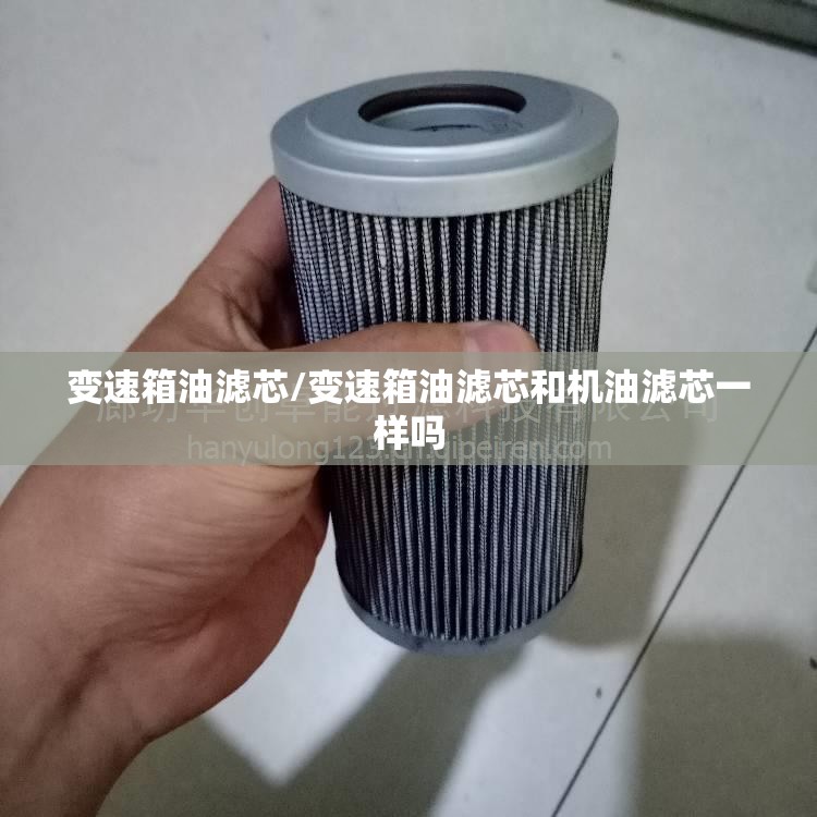 变速箱油滤芯/变速箱油滤芯和机油滤芯一样吗