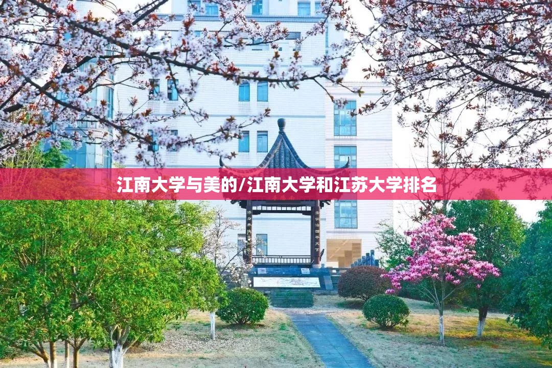 江南大学与美的/江南大学和江苏大学排名