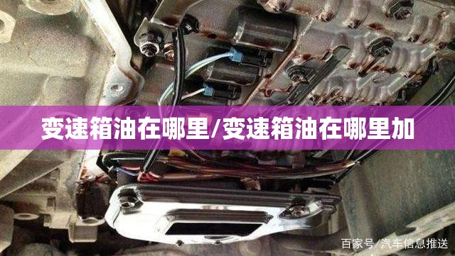 变速箱油在哪里/变速箱油在哪里加