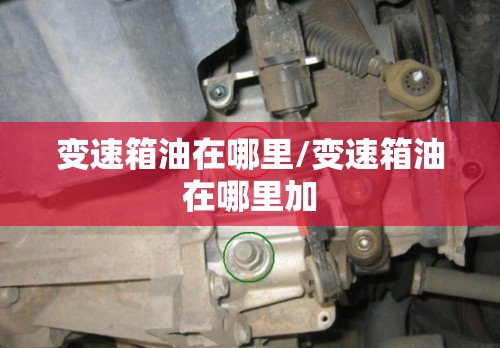 变速箱油在哪里/变速箱油在哪里加