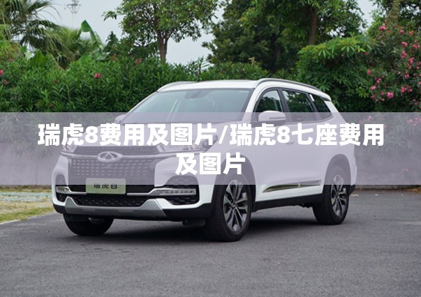 瑞虎8费用及图片/瑞虎8七座费用及图片