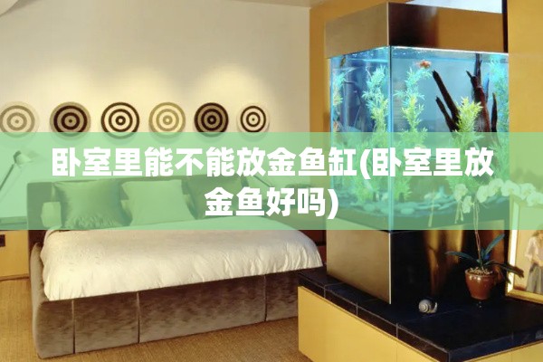 卧室里能不能放金鱼缸(卧室里放金鱼好吗) 卧室里能不能放金鱼缸(卧室里放金鱼好吗)