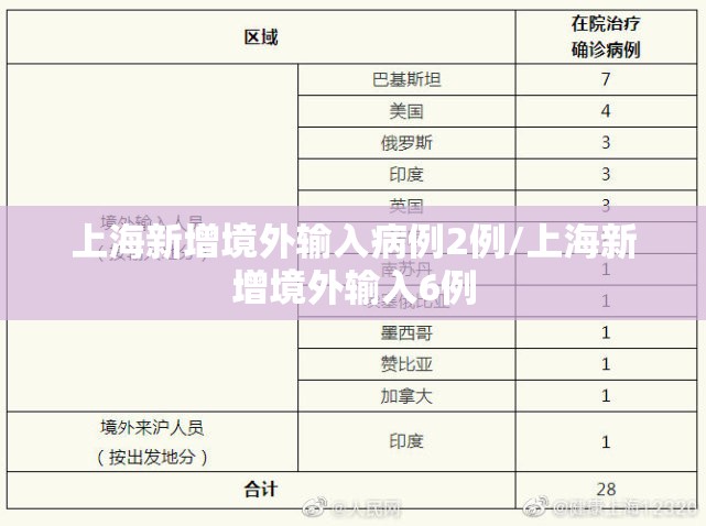上海新增境外输入病例2例/上海新增境外输入6例