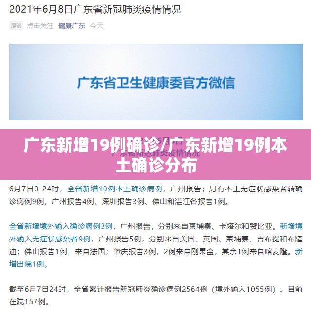 广东新增19例确诊/广东新增19例本土确诊分布