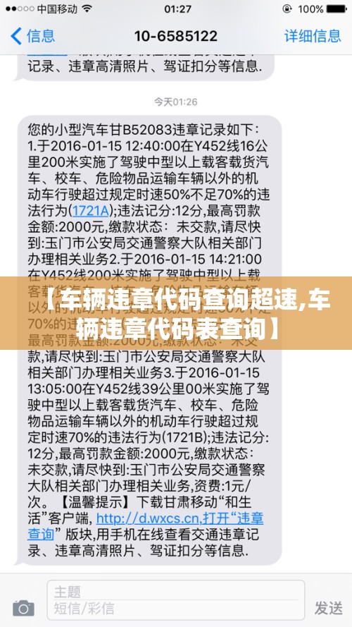 【车辆违章代码查询超速,车辆违章代码表查询】