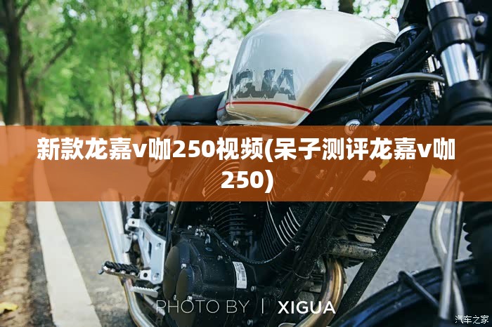 新款龙嘉v咖250视频(呆子测评龙嘉v咖250)