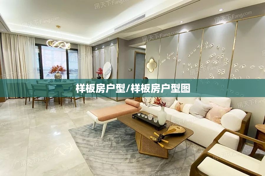 样板房户型/样板房户型图