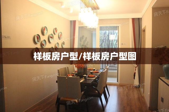 样板房户型/样板房户型图