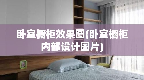 卧室橱柜效果图(卧室橱柜内部设计图片) 卧室橱柜效果图(卧室橱柜内部设计图片)