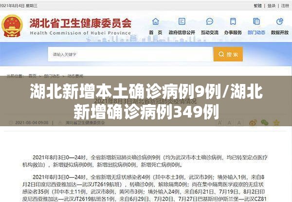 湖北新增本土确诊病例9例/湖北新增确诊病例349例