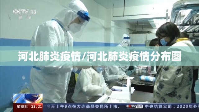 河北肺炎疫情/河北肺炎疫情分布图