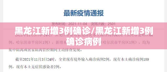 黑龙江新增3例确诊/黑龙江新增3例确诊病例