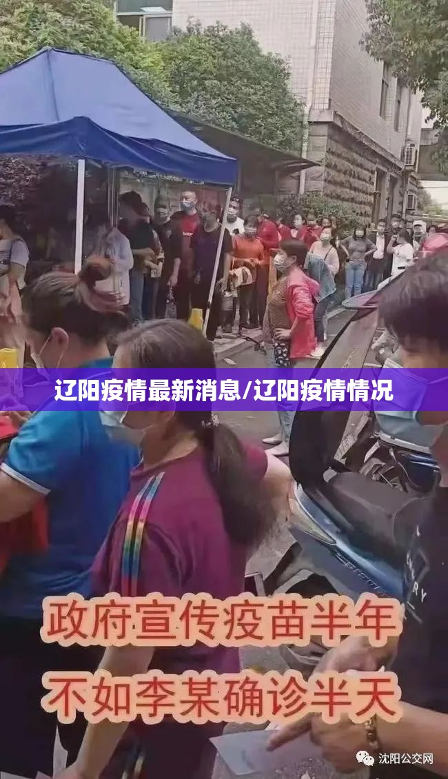 辽阳疫情最新消息/辽阳疫情情况