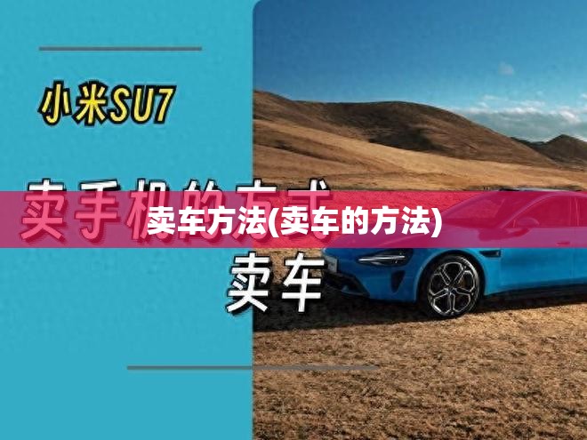 卖车方法(卖车的方法)
