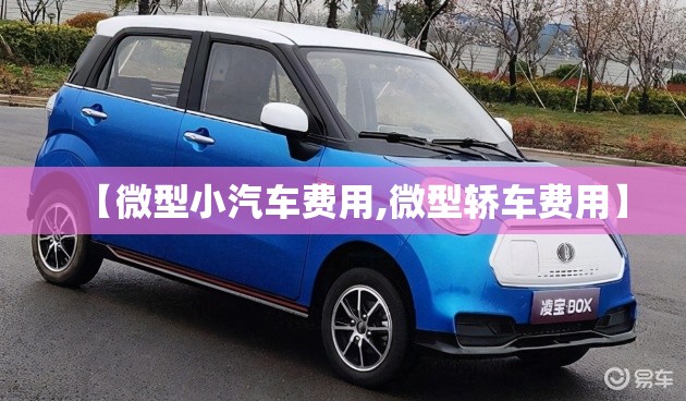 【微型小汽车费用,微型轿车费用】
