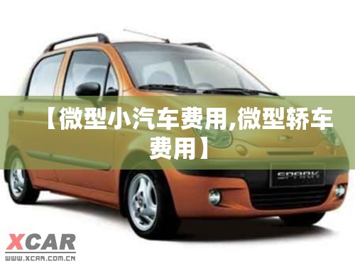 【微型小汽车费用,微型轿车费用】