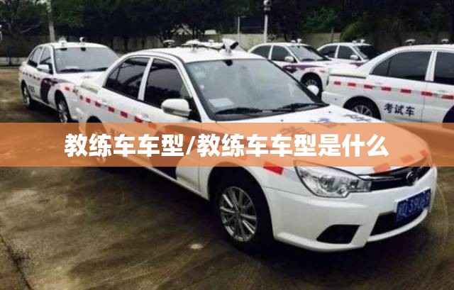 教练车车型/教练车车型是什么
