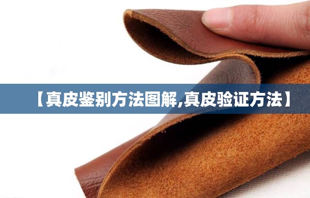 【真皮鉴别方法图解,真皮验证方法】 【真皮鉴别方法图解,真皮验证方法】