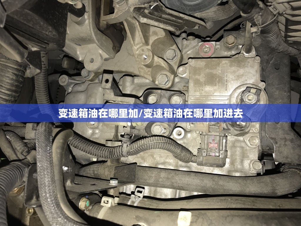 变速箱油在哪里加/变速箱油在哪里加进去 变速箱油在哪里加/变速箱油在哪里加进去