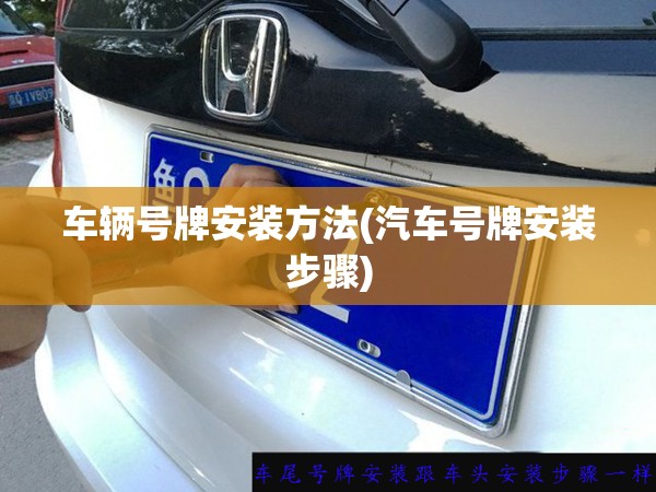 车辆号牌安装方法(汽车号牌安装步骤)