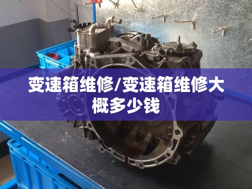 变速箱维修/变速箱维修大概多少钱