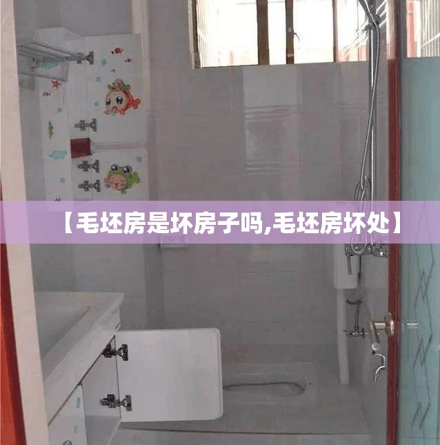 【毛坯房是坏房子吗,毛坯房坏处】
