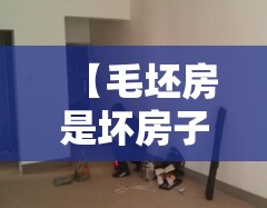 【毛坯房是坏房子吗,毛坯房坏处】