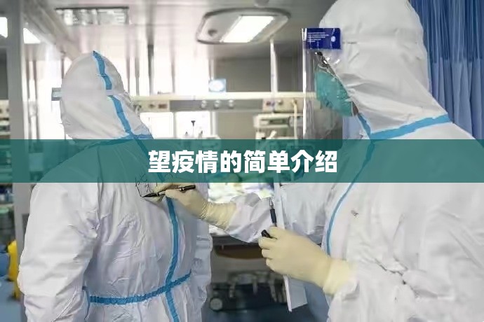 望疫情的简单介绍
