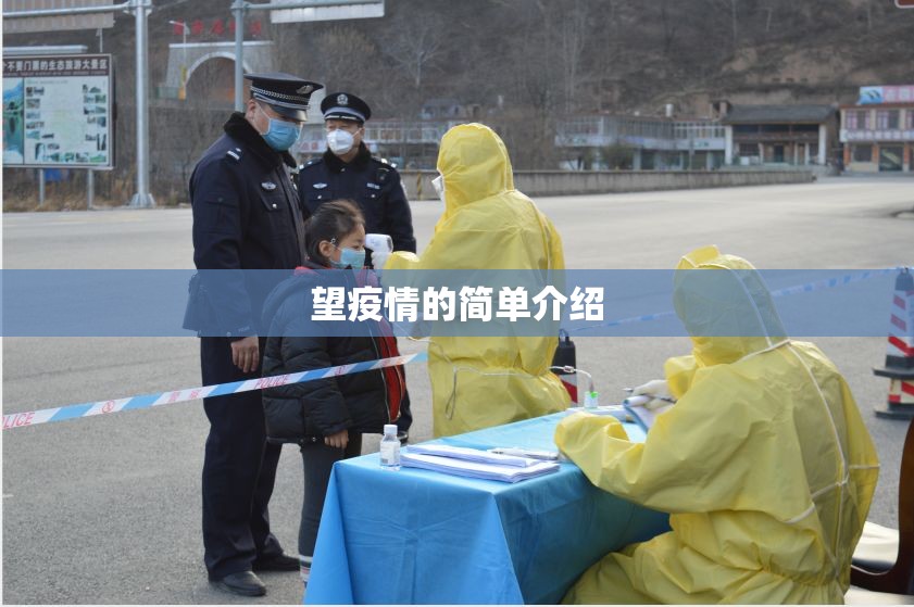 望疫情的简单介绍