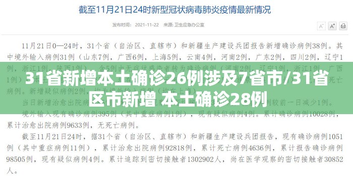 31省新增本土确诊26例涉及7省市/31省区市新增 本土确诊28例