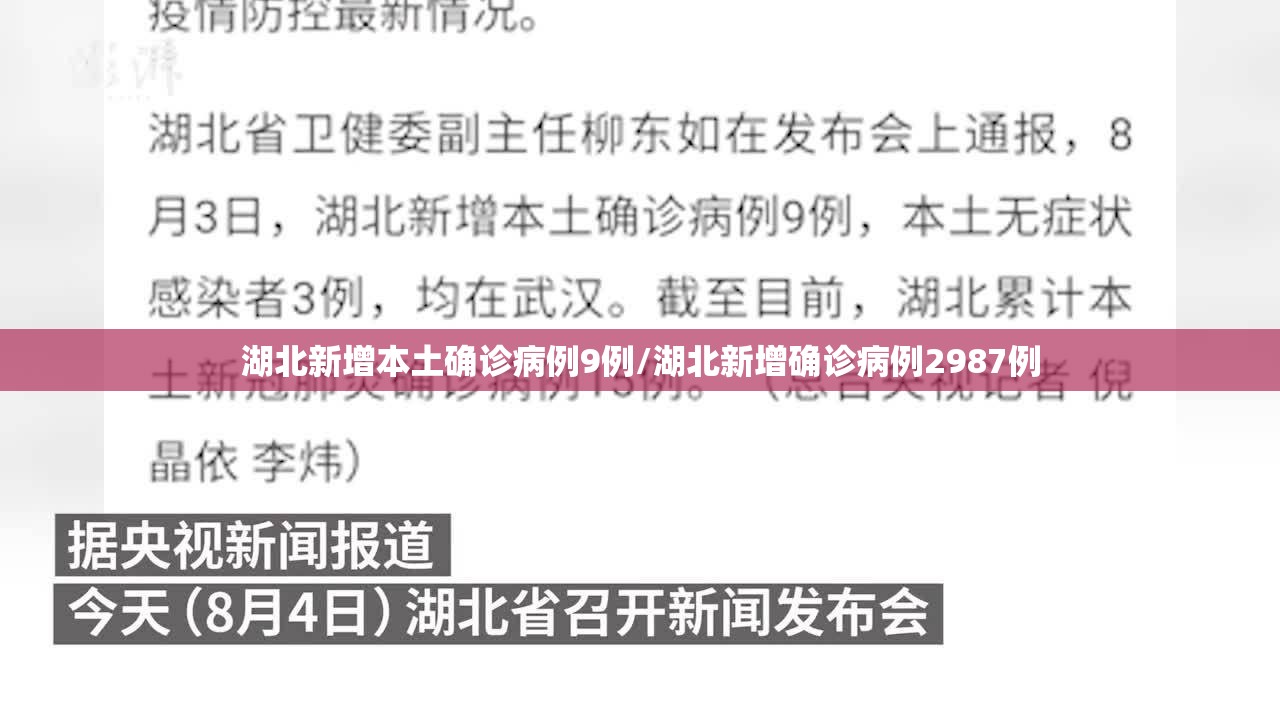 湖北新增本土确诊病例9例/湖北新增确诊病例2987例