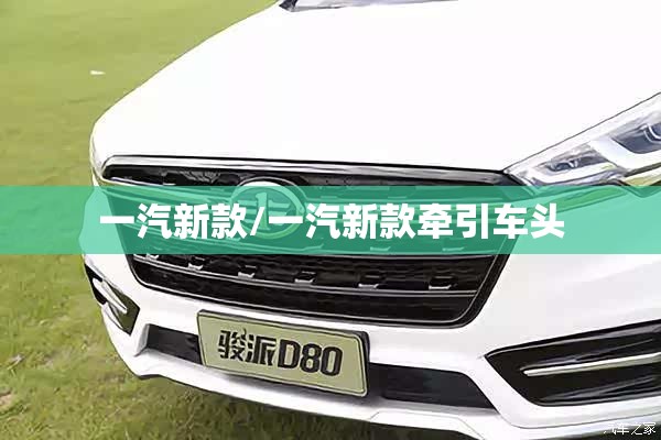 一汽新款/一汽新款牵引车头
