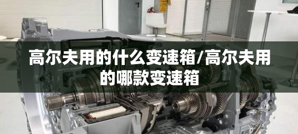 高尔夫用的什么变速箱/高尔夫用的哪款变速箱