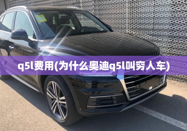 q5l费用(为什么奥迪q5l叫穷人车)