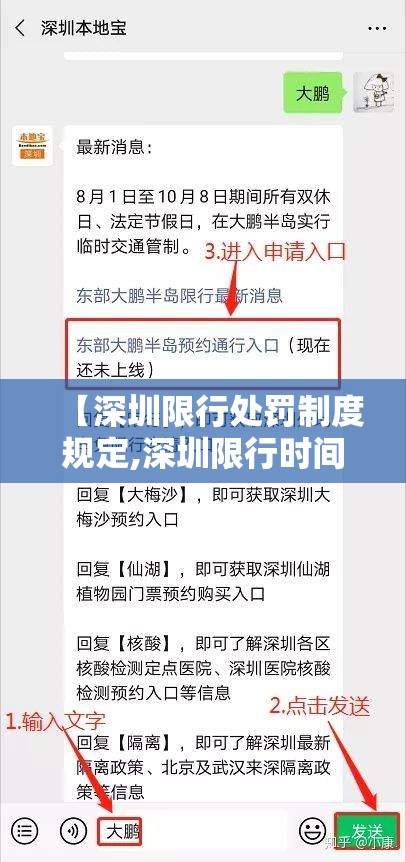 【深圳限行处罚制度规定,深圳限行时间处罚规定一次怎么算】