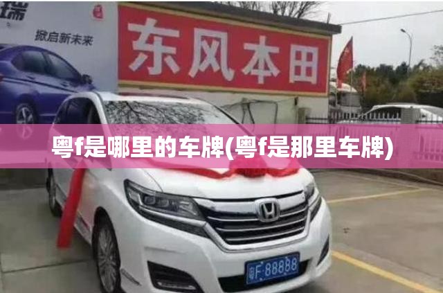 粤f是哪里的车牌(粤f是那里车牌) 粤f是哪里的车牌(粤f是那里车牌)