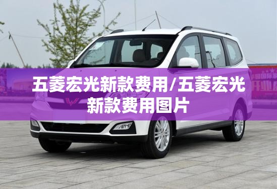 五菱宏光新款费用/五菱宏光新款费用图片