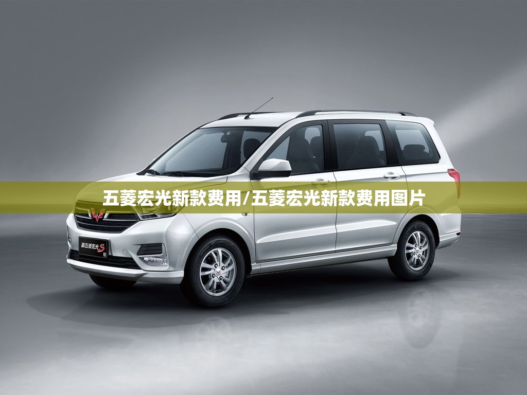 五菱宏光新款费用/五菱宏光新款费用图片