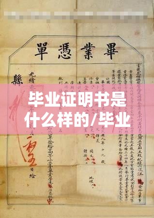 毕业证明书是什么样的/毕业证明书样本