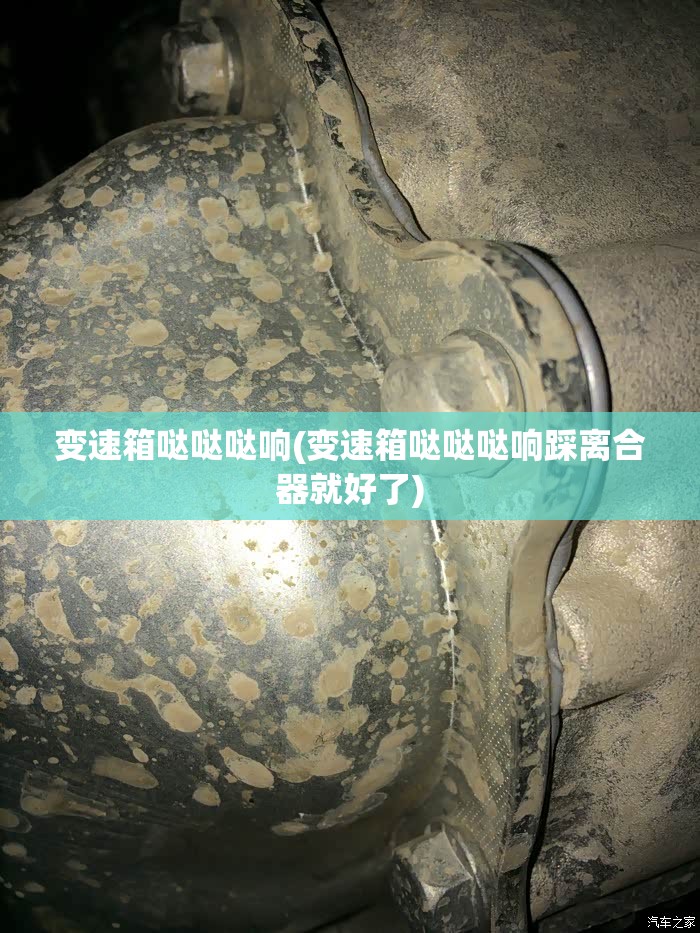 变速箱哒哒哒响(变速箱哒哒哒响踩离合器就好了)