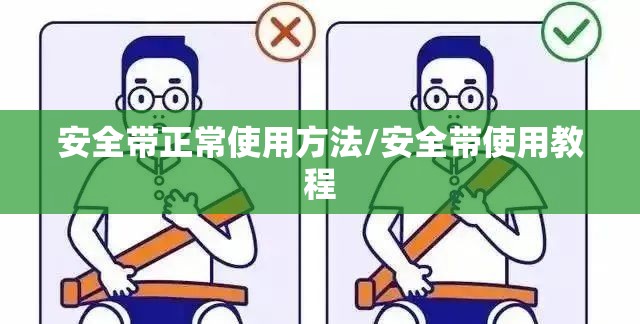安全带正常使用方法/安全带使用教程