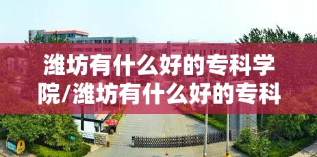 潍坊有什么好的专科学院/潍坊有什么好的专科学院有哪些